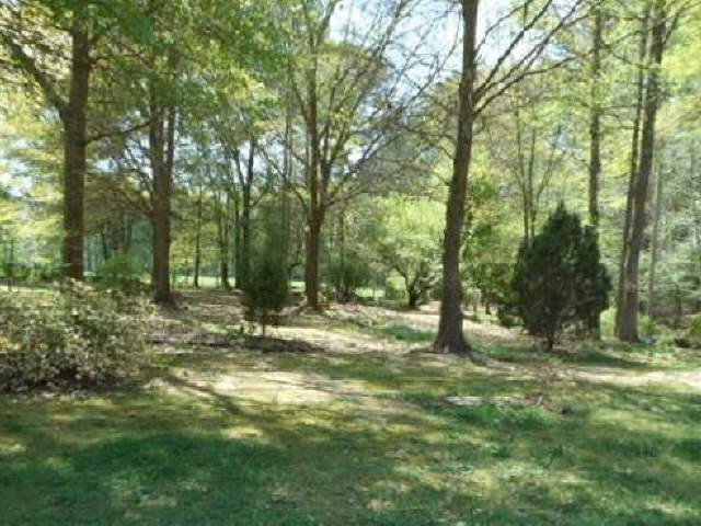 657 Mcdonough Rd, Hampton, GA 30228 photo 7