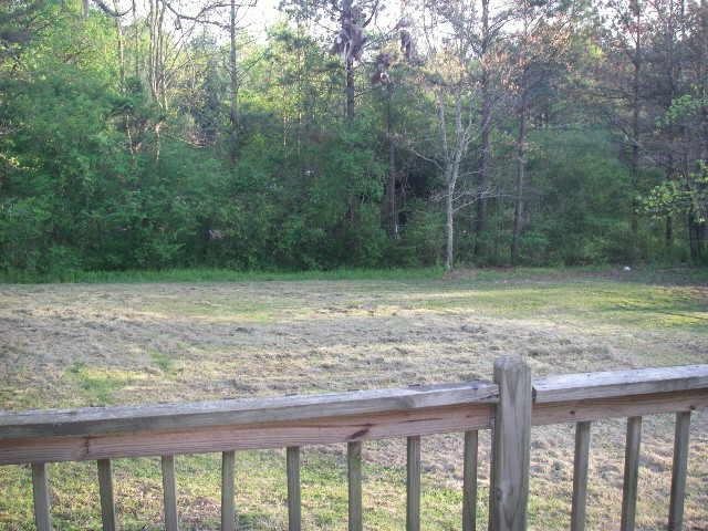 13 Black Rd, White, GA 30184 photo 12