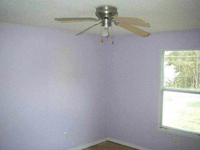 13 Black Rd, White, GA 30184 photo 6