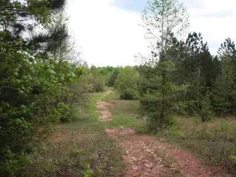 619 69th Ave SW, Lanett, AL 36863 photo 11