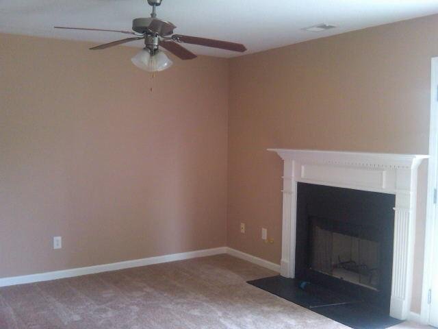 836 Betsy Ross Trl, Hampton, GA 30228 photo 6