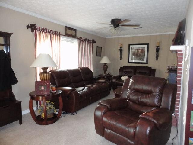 3831 Hwy 98, Comer, GA 30629 photo 4