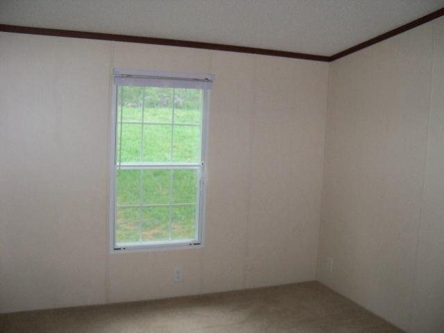 133 Pine Hill Rd, Rydal, GA 30171 photo 12