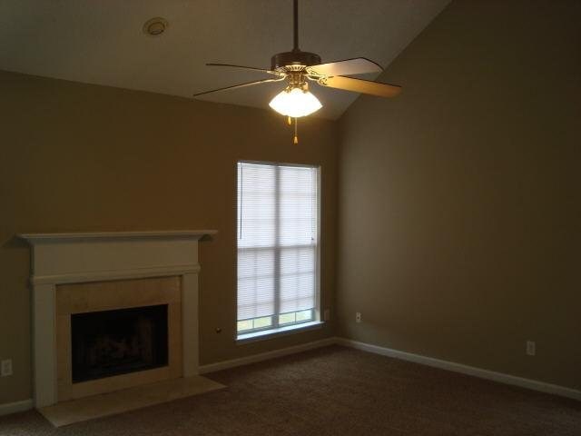 505 Lifford Ct, Hampton, GA 30228 photo 5
