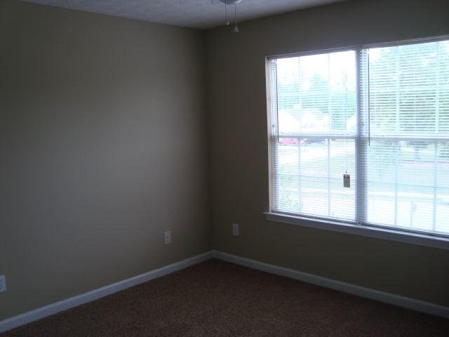 505 Lifford Ct, Hampton, GA 30228 photo 9