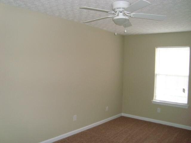 505 Lifford Ct, Hampton, GA 30228 photo 10