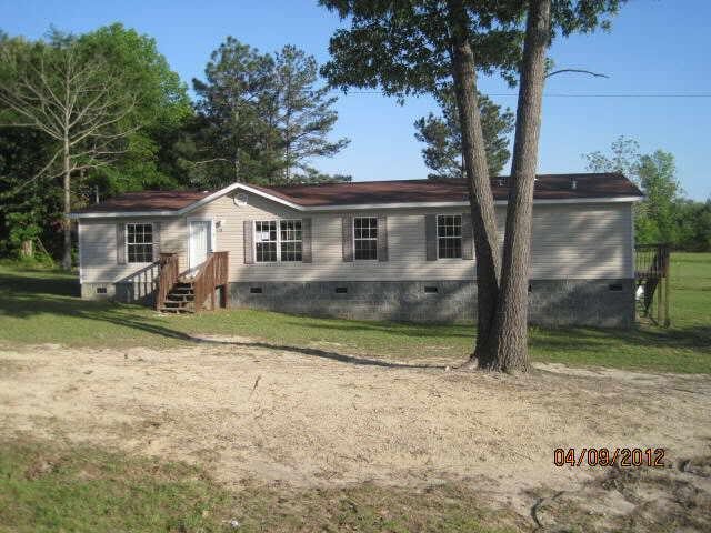 528 Pintail Way, Roberta, GA 31078 photo 1