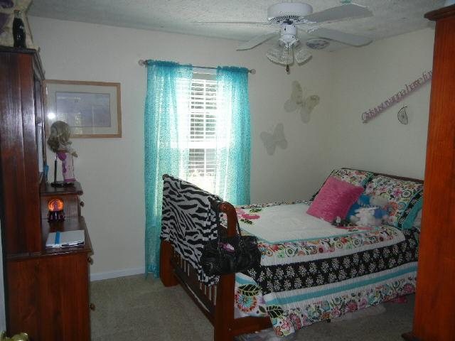 170 Mosby Creek Dr, Hampton, GA 30228 photo 9