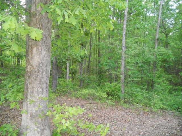 687 Wesley Dr, Jackson, GA 30233 photo 3