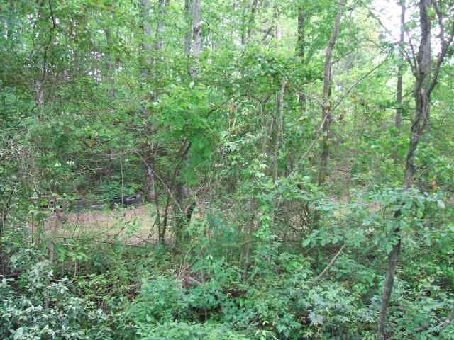 706 Pineview Rd, Toccoa, GA 30577 photo 9