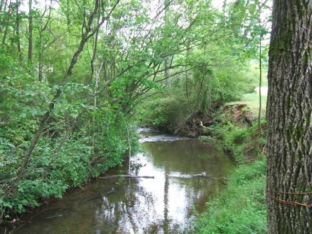 706 Pineview Rd, Toccoa, GA 30577 photo 7