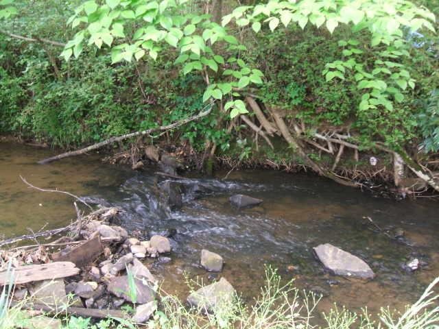 706 Pineview Rd, Toccoa, GA 30577 photo 5