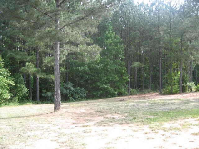 121 Post Oak Dr, Jackson, GA 30233 photo 12