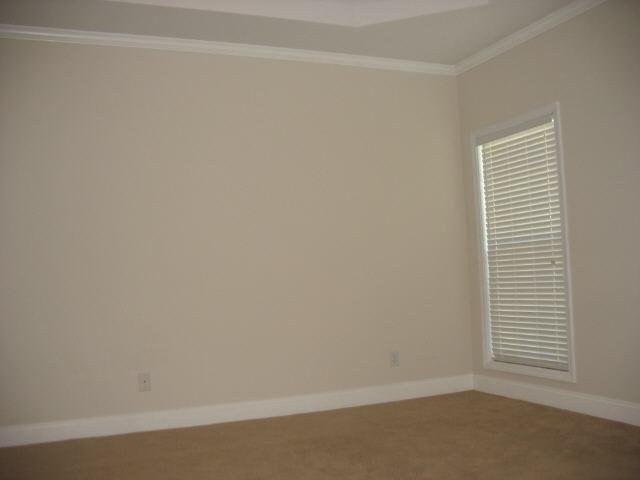 264 Long Dr, Mcdonough, GA 30253 photo 11