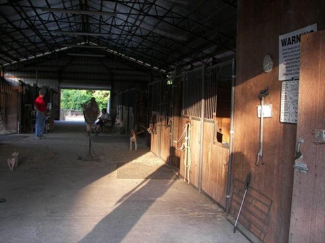 7900 Arcola Rd, Brooklet, GA 30415 photo 8