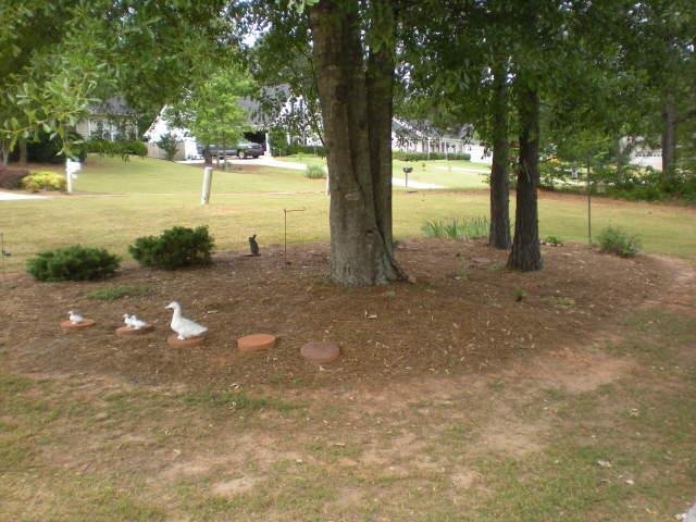 195 Chestnut Dr, Covington, GA 30016 photo 15