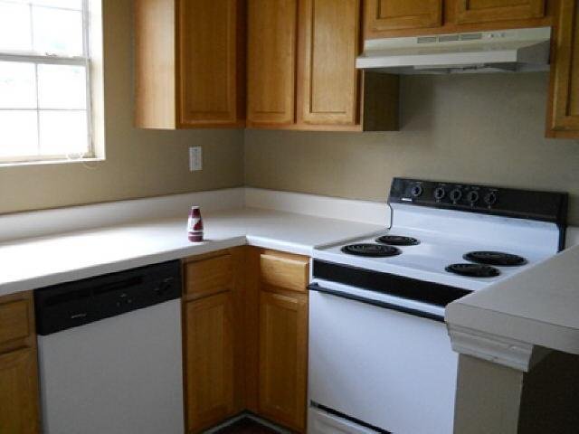 11117 Silver Aspen Ct, Hampton, GA 30228 photo 2