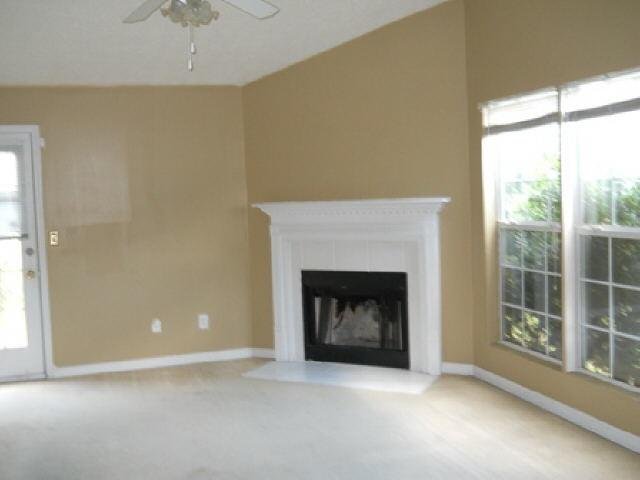 11117 Silver Aspen Ct, Hampton, GA 30228 photo 3