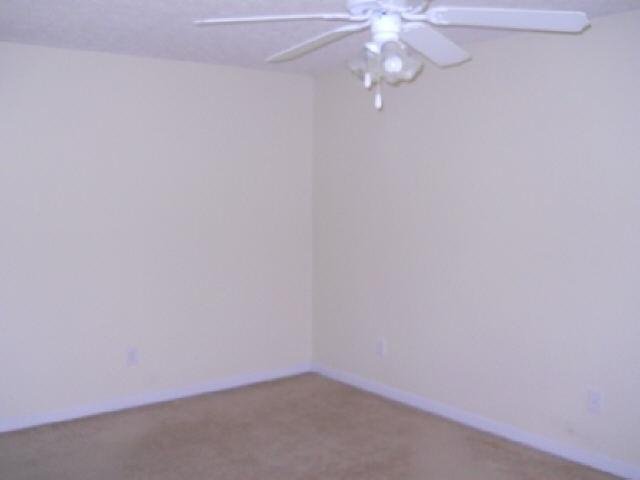 11117 Silver Aspen Ct, Hampton, GA 30228 photo 7