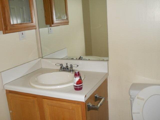 11117 Silver Aspen Ct, Hampton, GA 30228 photo 8