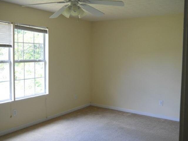 11117 Silver Aspen Ct, Hampton, GA 30228 photo 6