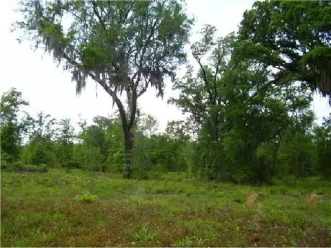 3456 Courthouse Rd, Guyton, GA 31312 photo 2