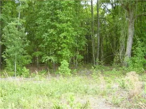 3456 Courthouse Rd, Guyton, GA 31312 photo 6