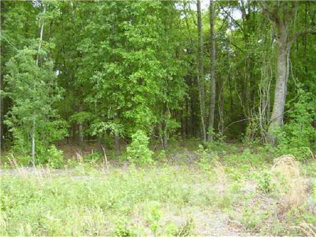 3470 Courthouse Rd, Guyton, GA 31312 photo 6