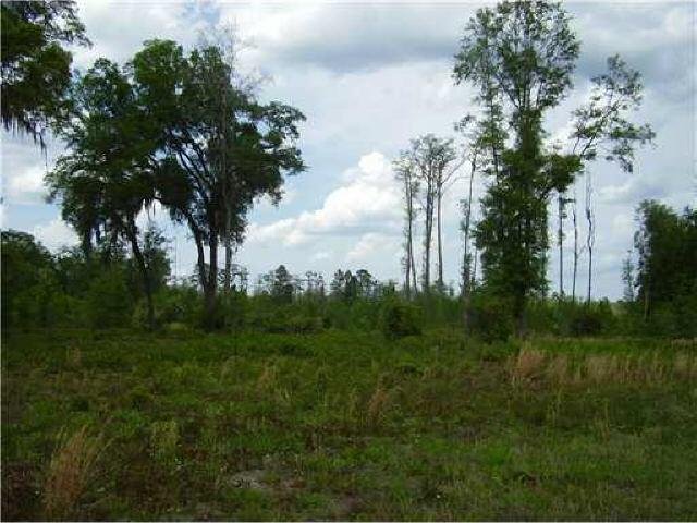 3470 Courthouse Rd, Guyton, GA 31312 photo 5