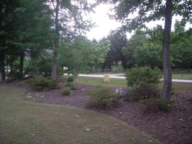 13768 Panhandle Rd, Hampton, GA 30228 photo 5