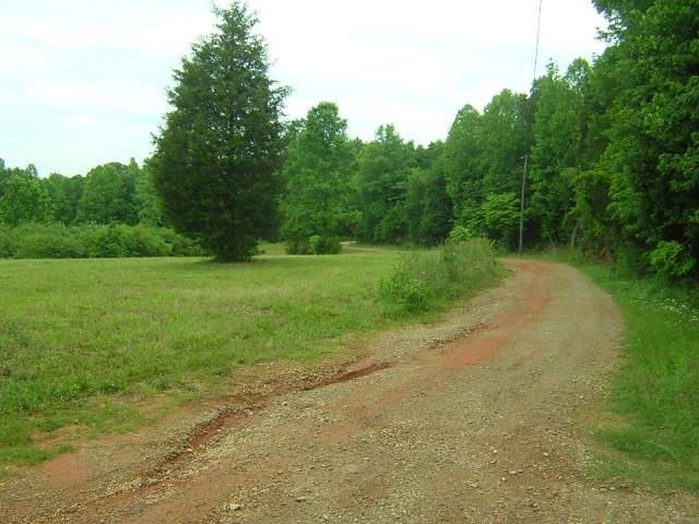 456 Mountain View Rd, Carnesville, GA 30521 photo 4