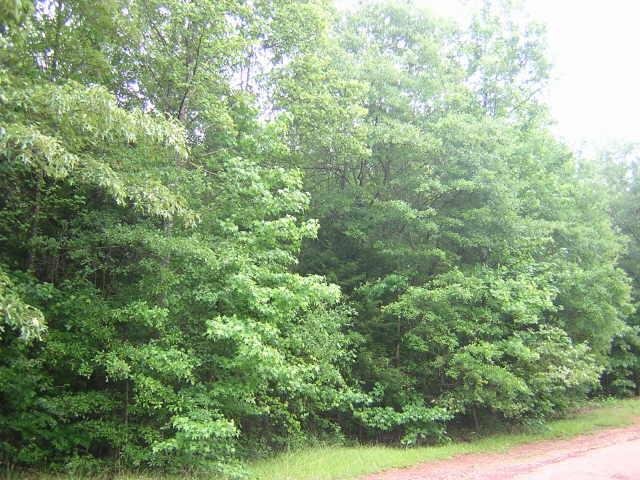 456 Mountain View Rd, Carnesville, GA 30521 photo 6