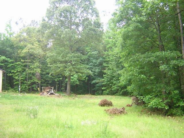 456 Mountain View Rd, Carnesville, GA 30521 photo 1