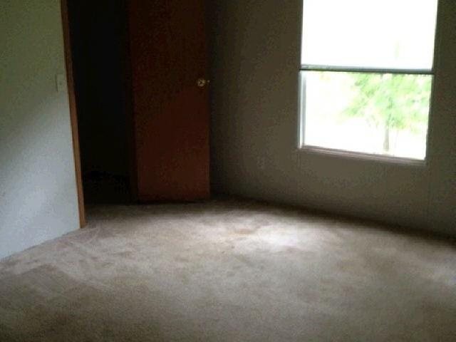 381 Pine Wood Ln, Cornelia, GA 30531 photo 5