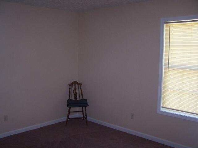 260 E Wright St, Winder, GA 30680 photo 15