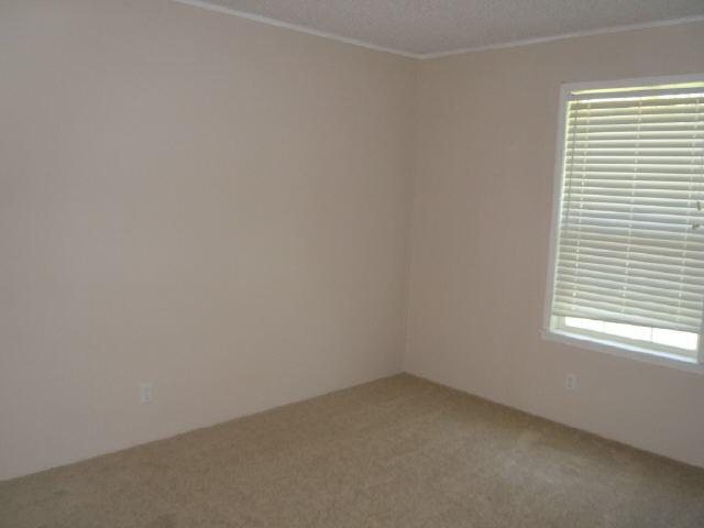 561 Spring Rd, Concord, GA 30206 photo 13