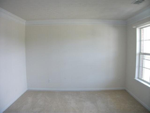 12580 Bailey Ct, Hampton, GA 30228 photo 3