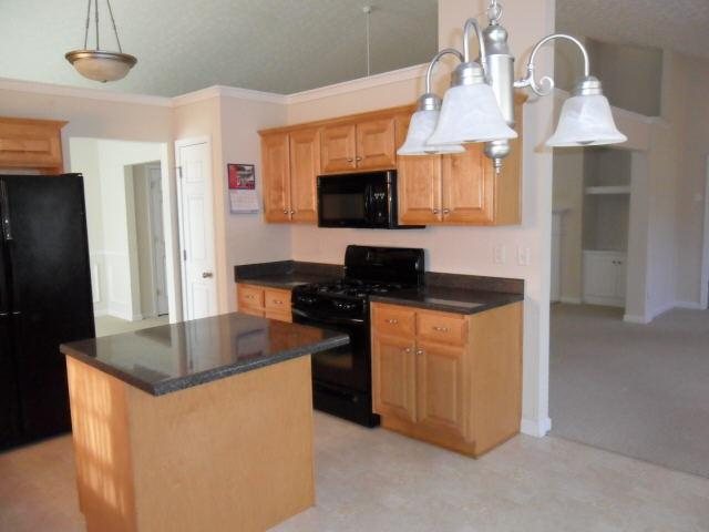 257 Sandstone Ct, Hampton, GA 30228 photo 3