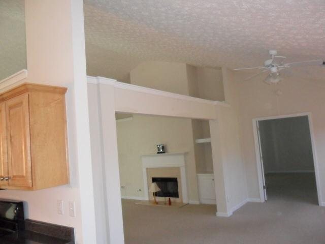 257 Sandstone Ct, Hampton, GA 30228 photo 8