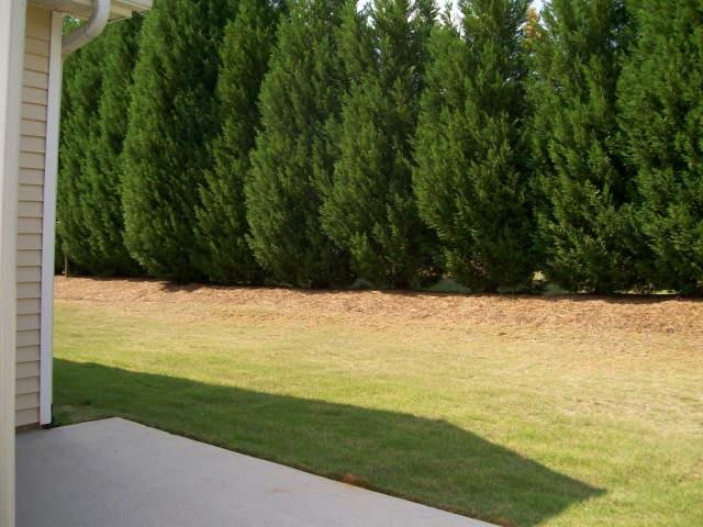 431 Falling Leaf Ct, Mcdonough, GA 30253 photo 10