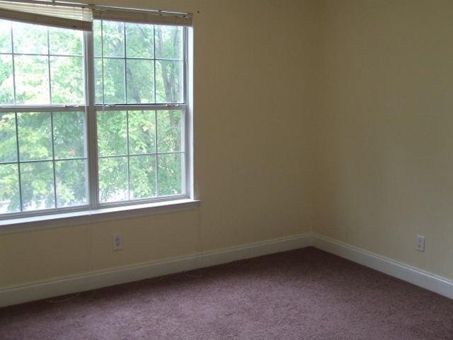 1307 Daffodil Ln, Hampton, GA 30228 photo 8