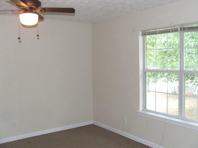 1307 Daffodil Ln, Hampton, GA 30228 photo 9