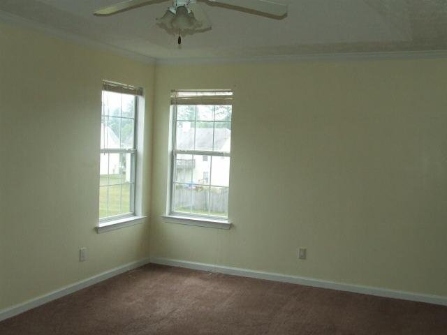 1307 Daffodil Ln, Hampton, GA 30228 photo 5