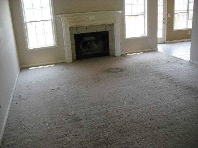 14282 Woolsey Rd, Hampton, GA 30228 photo 2