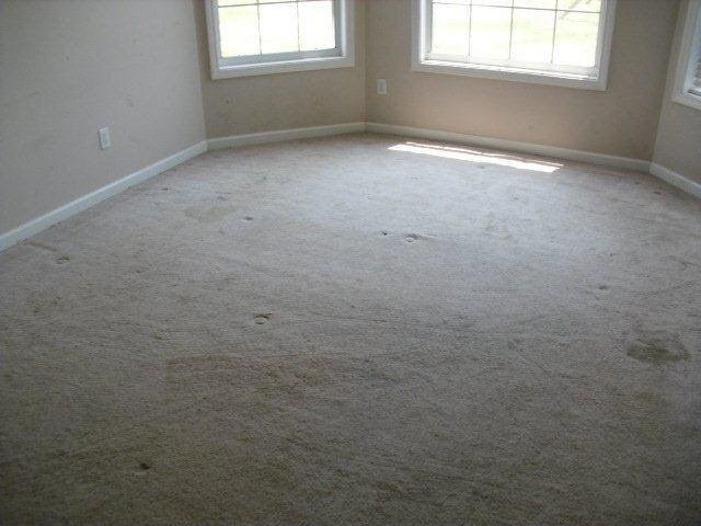 14282 Woolsey Rd, Hampton, GA 30228 photo 5