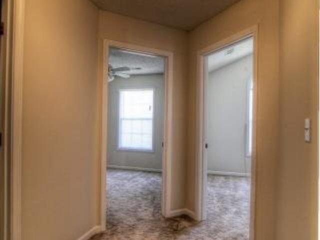 10900 Thrasher Rd, Hampton, GA 30228 photo 9