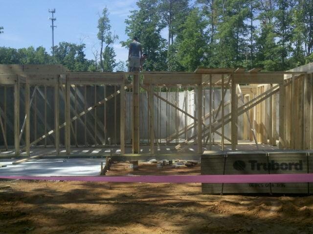 2160 Hammock Trl, Hampton, GA 30228 photo 6