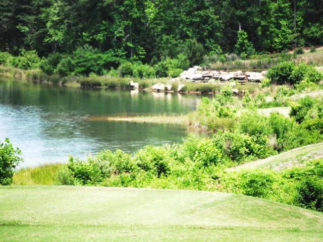 2160 Hammock Trl, Hampton, GA 30228 photo 5