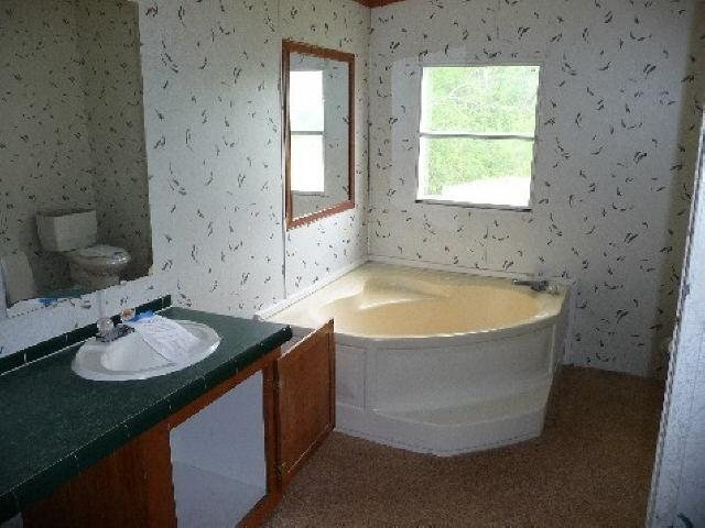 485 Mt View Rd, Buchanan, GA 30113 photo 15