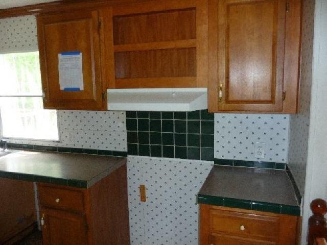485 Mt View Rd, Buchanan, GA 30113 photo 4